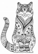 Cat Cats Coloring Pages Wise Very Zentangles Adults Adult Drawn Nature sketch template
