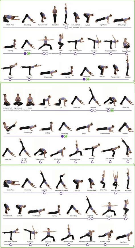 hatha yoga poses  beginners  exercices de yoga yoga facile