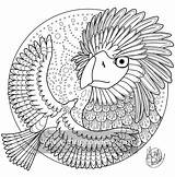 Philippine Eagle Coloring 18kb sketch template