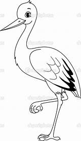 Stork Bocian Kolorowanka Kolorowanki Carrying Designlooter sketch template