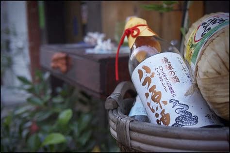 okinawan snake sake kagurazaka shinjuku  tokyo novemb eric