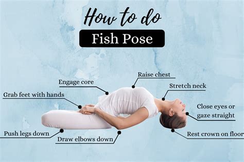 fish pose matsyasana    benefits  precautions fitsri