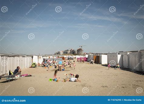 people   beach  knokke belgium editorial image image  grass scenic