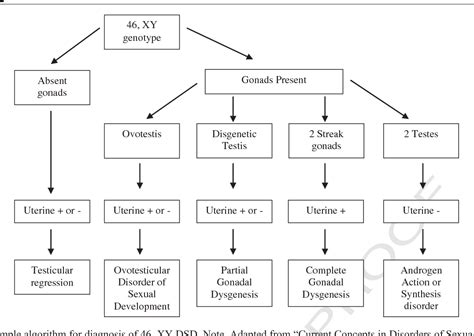 Figure 4 From Understanding Disorders Of Sexual Development Semantic