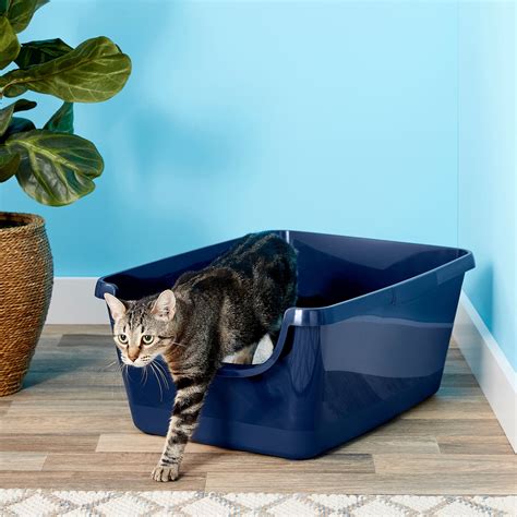 frisco high sided cat litter box navy extra large   chewycom