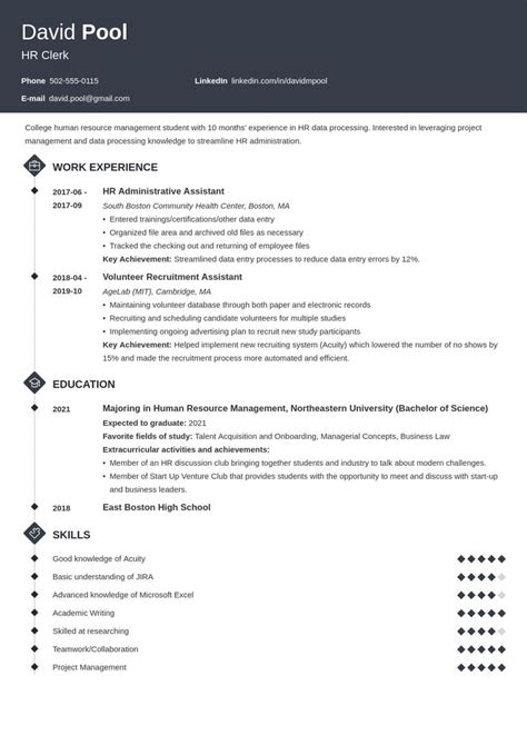 professional resume   work experience   front page