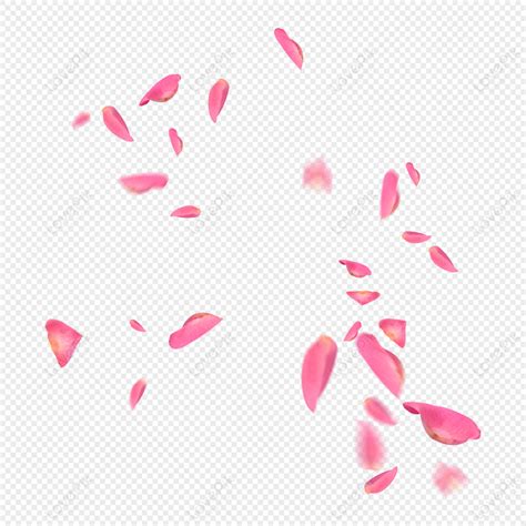 petal flower petals falling petals flower light png transparent