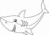 Shark Coloring Cute Cartoon sketch template