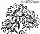 Sunflower Coloring Pages Printable Flower Kids Drawing Adults Flowers Color Clipart Realistic Sunflowers Tattoo Pdf Cool2bkids Adult Print Mandala Getdrawings sketch template