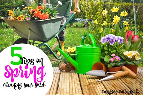 5 Tips On Spring Cleaning Your Yard Dazzling Daily Deals
