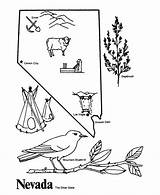 Nevada Bird Designlooter sketch template