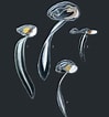 Image result for "bathochordaeus Charon". Size: 99 x 106. Source: www.pinterest.com