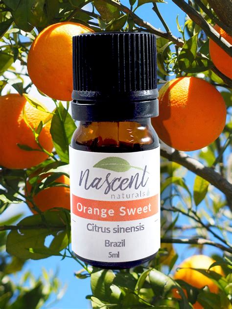 orange sweet essential oil sweet orange essential oil citrus