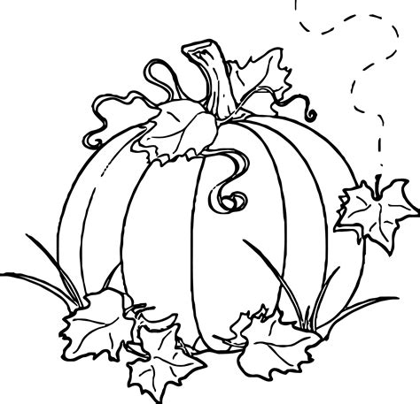 pumpkin  leaves coloring page   goodimgco