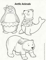 Arctic Kindergarten Squish Artic  Grayling sketch template
