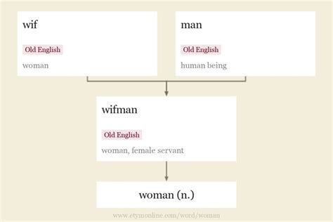 Woman Etymology Origin And Meaning Of Woman By Etymonline