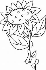 Matahari Mewarnai Gambar Sunflower Primavera Colorare Disegni Girassol Sonnenblume Anak Ausmalbild Letzte Malvorlagen sketch template