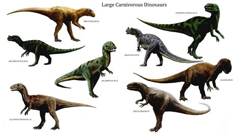 dinosaurs lived    years    dinosaur related