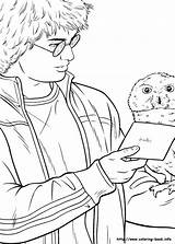 Weasley Coloring Lettre Hibou Envoyer Hermione Getcolorings Hedwig Granger sketch template