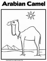 Camel Animals sketch template