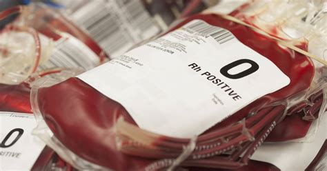 gut bacteria  hold key  creating universal donor blood type