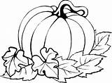 Pumpkin Patch Coloring Pages Clipartmag Drawing Color sketch template
