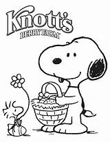 Coloring Pages Berry Farm Knott Woodstock Knotts Snoopy Color Easter Christmas Sheets Amusement Park Activities Printable Getdrawings Getcolorings sketch template