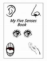 Senses Five Remarkable Ingles Fichas sketch template