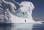 Afbeeldingsresultaten voor "coelographis Antarctica". Grootte: 155 x 106. Bron: www.audleytravel.com