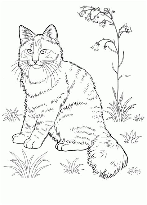 striped cat coloring pages  adults dog coloring page animal