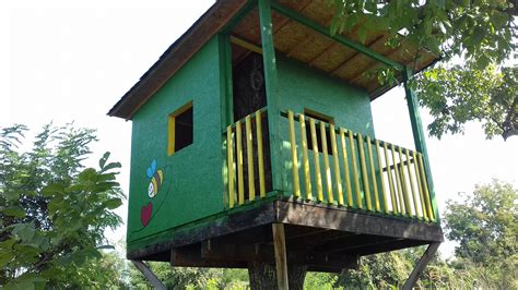 casa din copac sau apicultura la inaltime miere filip  cruda naturala neprocesata