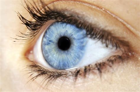 blauwe ogen beautiful blue eyes vision eye eyes