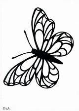 Scherenschnitt Schmetterling Ausdrucken Schmetterlinge Grusskarte sketch template