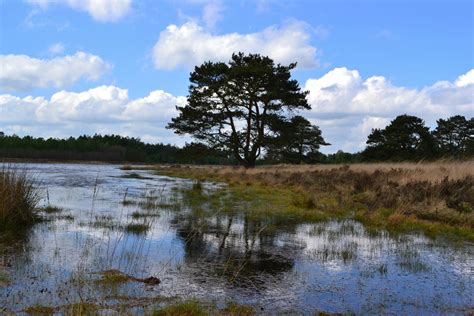 mooie drenthe landscape beautiful landscapes natural landmarks