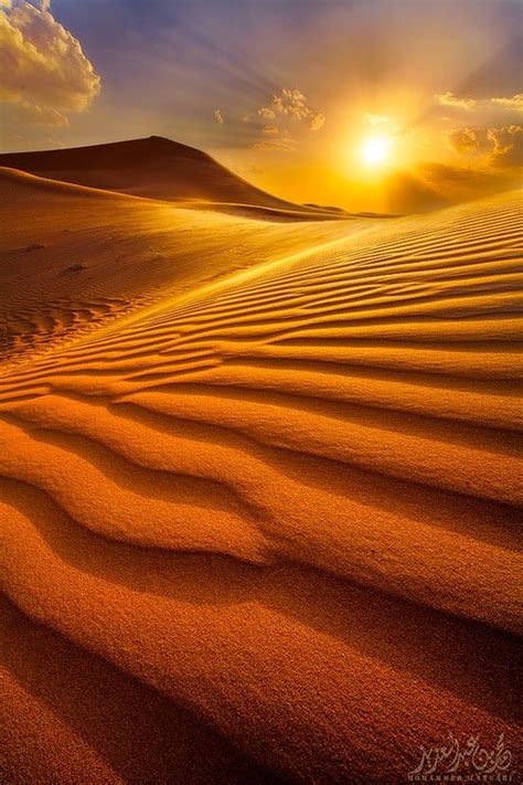 images  desert  pinterest namib desert camel  peru