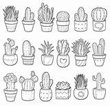 Cactus Coloring Pages Desert Cute Cacti Print Aesthetics Succulents Succulent Flower Wonder sketch template