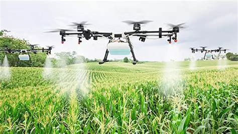 drone spraying  fertiliser norms   finalised   hindu businessline