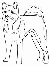 Coloring Husky Pages Dog Printable Sled Dogs Rachel Color Siberian Sheets Lab Getcolorings Cattle Realistic Getdrawings Colouring Popular Colori Print sketch template