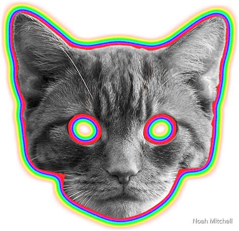 acid cat stickers  noah mitchell redbubble