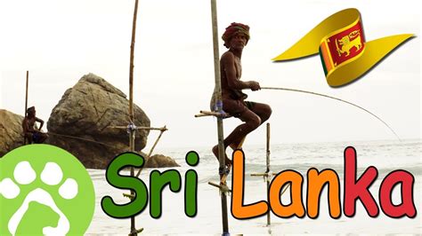 projects  sri lanka youtube