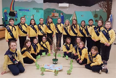 belleek brownies irish girl guides