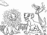 Coloring Lion King Simba Pages Zazu Nala Savana Potential Artistic Discover Help Kids Will sketch template