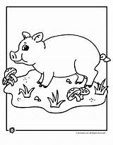 Coloring Pig Pages Kids Printable Pigs Baby Mushrooms Grasses Template Bestcoloringpagesforkids Colouring Farm Animal Valentine Sheets Cute Jr Cartoon Printables sketch template