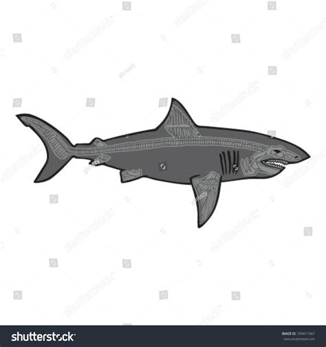 shark skeleton stock vector illustration  shutterstock
