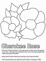Cherokee Tribe sketch template