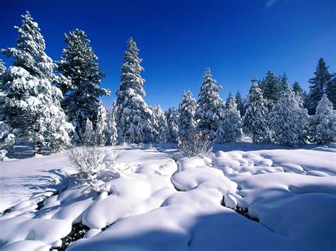 wallpapers snow wallpapers