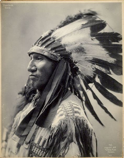 black bird sioux native american warrior native american men native