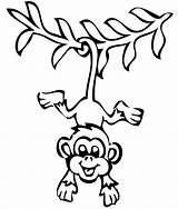 Macaco Desenho Poplembrancinhas sketch template