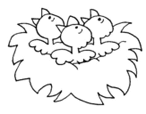 birds coloring pages coloringcrewcom