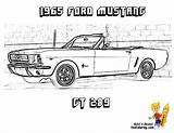 Fierce Mustangs sketch template